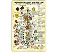 NEGLAI Taoist Inner Alchemy Anatomy Chart Knowledge Metal Signs Poster Décoration murale Décoration murale 40,6 x 30,5 cm