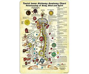 NEGLAI Taoist Inner Alchemy Anatomy Chart Knowledge Metal Signs Poster Décoration murale Décoration murale 40,6 x 30,5 cm