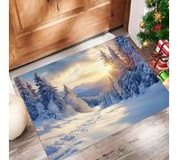 Neige La Jungle Paillasson Interieur Entree 40 X 60 Cm, Paysages Naturels Tapis D'Entrée Antidérapant Et Lavable en Machine, Tapis De Sol Absorbantes Bleu Clair pour Chien, Porte, Couloir