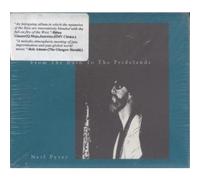 Neil Pyzer - from Bush to The [Import]
