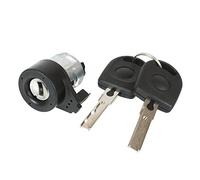 Neiman Antivol de Direction Serrure de Contacteur Barillet de Démarrage compatible pour GOLF IV NEW BEETLE POLO 9N - 3B0905855C