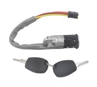 Neiman Antivol Direction Cylindre De Commutateur D'allumage, Baril De Serrure De Porte De Hayon Compatible Avec Dacia Pour Sandero 2008-2012 806014108R 6001549589 AL238(Igition Switch)