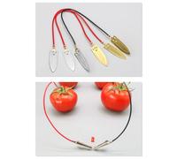 NEIQIUWING Pour les appareils d'expérimentation pour les batteries à fruits, la production physique de petites entreprises