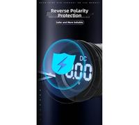 NEIQIUWING Voltmètre numérique LCD DC 0-300 V, grande police, affichage de la tension