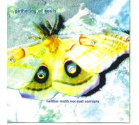 Neither Moth nor Rust Corrupts