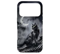 Nekomata Yokai Chat Noir Croissant de Lune Art Sumi-e Coque pour iPhone 17 Pro