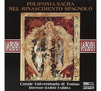 Nel Rinascimento Spagnolo