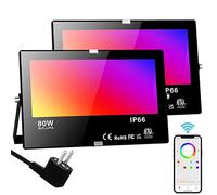 Neliwo Projecteur Extérieur Intelligent Bluetooth RGB 80W, Équivalent 800W, 8000 Lumens, 16 Millions de Couleurs, Minuteur, RGBW Blanc Chaud 2700K, IP66 Étanche (2 Unités)