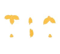 Nellie's Choice Matrice de Découpe Noël - Branches et Baies de Houx - 6 Pcs - 1 x 1,1 à 4,9 x 3,7 cm - Scrapbooking Matériel - Cutting Dies pour Scrapbooking Accessoires, Cartes et Décorations