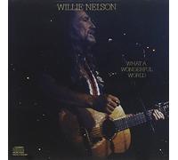 Willie Nelson - What a Wonderful World