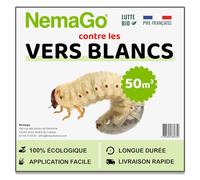 Nemago® - HB Nématodes Contre les Vers Blancs (25 Millions) - Couvre 50m² jardin, pelouses et plantes - Traitement lutte Biologique contre Hannetons & Otiorhynques