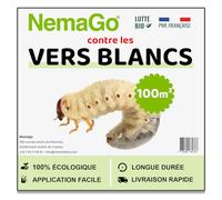 Nemago® - HB Nématodes Contre les Vers Blancs (50 Millions) - Couvre 100m² jardin, pelouses et plantes - Traitement lutte Biologique contre Hannetons & Otiorhynques