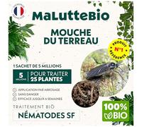 Nematodes Contre Les Moucherons du Terreau 5 millions - Traitement bio Nématodes Longue Durée - Anti mouches des terreaux - Pour traiter 25 pots - Maluttebio