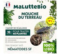 Nématodes Contre Les Mouches du Terreau 10 Millions - Traitement Bio Nématodes Longue Durée - Anti Mouches des terreaux - pour Traiter 40 Pots - Maluttebio