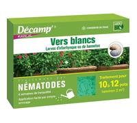 Nématodes contre les vers blancs (10 à 12 pots avec 1 million de nématodes)