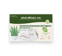 Nématodes sc - 250 m² - charançon de l'agave - 500 millions