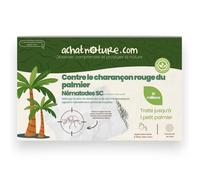 Nématodes SC contre charançon rouge du palmier - 10 millions - 1 petit palmier