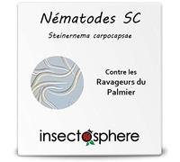 Nématodes Sc contre le papillon palmivore ou charançon rouge du palmier. 25 Millions pour 1 à 3 palmiers. Traitement naturel et bio.