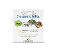Nématodes SF Anti Mouches des terreaux, taupins, chenilles du Potager et verger et Fourmis - 50 millions (pour 100 m²)