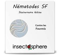Nématodes Sf contre les fourmis. Sachet de 5 Millions pour traiter 5 fourmilières. Traitement bio et naturel.