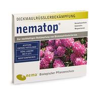 nematop® Nématodes HB pour lutter contre les otiorhynques - 6 millions pour 12 m²