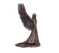 Nemesis Now Anne Stokes Spirit Guide Figurine Bronze Taille S 24 cm