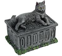 Nemesis Now Boîte de tarot B2808G6 Fortune's Watcher Noir Résine 17 cm