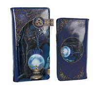 Nemesis Now B4005K8 Porte-Monnaie en polyuréthane avec Motif d’apprenti Sorcier de Lisa Parker - Violet, 19 cm