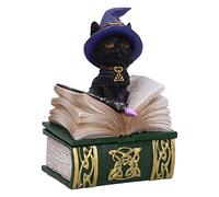 Nemesis Now Binx Boîte à Figurines Chat Noir et Livre de Sorts Petite sorcière Vert 11 cm