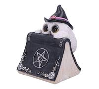 Nemesis Now Chouette Noir 15 cm