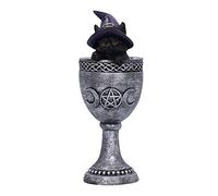 Nemesis Now Coven Tasse Argenté 15,7 cm