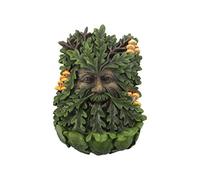 Nemesis Now D4267M8 Elderwood Plaque murale en polyrésine Vert 19 cm 23,8 cm