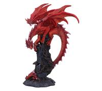 Nemesis Now Figurine Draconic Roots – Dragon rouge sur pierre, résine 28,5 cm