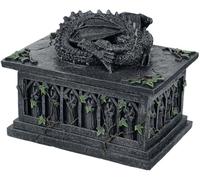 Nemesis Now Boîte de rangement pour cartes de tarot Dragon Indifférent gris
