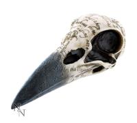 Nemesis Now Figurine Crâne de corbeau d'Edgar Ivoire 25 cm