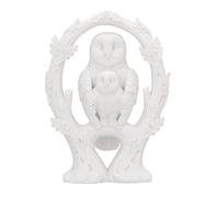 Nemesis Now Embrace Figurine Chouette Blanc 10,9 cm
