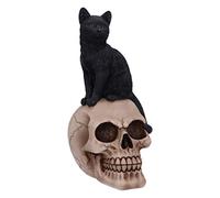 Nemesis Now Familiar Fate Figurine de Chat et crâne de sorcière Noire 24,3 cm