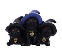 Nemesis Now Familiar Felines Figurine de Chats Noirs dans des Chapeaux de sorcière 9,8 cm