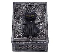 Nemesis Now Familiar Spell Boîte à Bijoux Motif Sceau de Chat Noir 13,7 cm