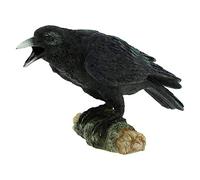 Nemesis Now Figurine appeau de Corbeau Noir 16 cm