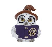 Nemesis Now Figurine Chouette Archimède 8,5 cm - Ornement Chouette Magicienne - Statue en résine Peinte à la Main (Archimède)