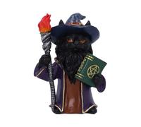 Nemesis Now Figurine de chat magicien, figurine de chat magique avec livre de sorts, lampe torche et tenue de magicien, décoration fantaisie en résine peinte à la main - Magnus