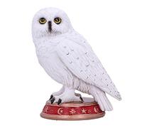 Nemesis Now Figurine de Chouette familière du Magicien, Blanc, 10 cm