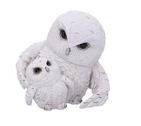 Nemesis Now Figurine Hibou Guide à Plumes Blanc 13,5 cm