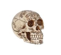 Nemesis Now Figurine Ivoire 20 cm Taille Unique