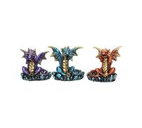 Nemesis Now Figurine Trois Rois Dragon 13 cm Métallique Multicolore