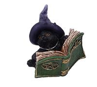 Nemesis Now Grimoire pour Chat (Vert) 8,2 cm U5712U1