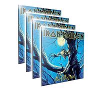 Nemesis Now Iron Maiden Fear of The Dark Crystal Image en MDF et résine Noir 32 cm B4393M8