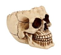 Nemesis Now Lobo Cendrier Ivoire 13,5 cm