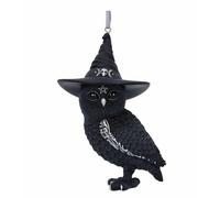 Nemesis Now Owlocen Sorcière Sage Occulte Sacred Chouette Luck Suspendu Ornement